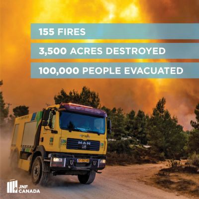 Northern Israel on Fire Northern Israel on Fire